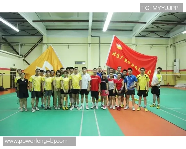 赛后分析：西安羽毛球队与重庆羽毛球队的团队协作与战术对比