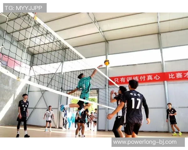 上海排球队在排球配合排行榜中荣获第十名展现团队实力与默契