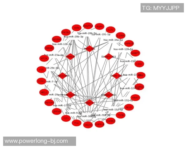 广州乒乓球队意识表现的数据分析与提升策略探讨 广州乒乓球队意识表现的数据分析与提升策略探讨