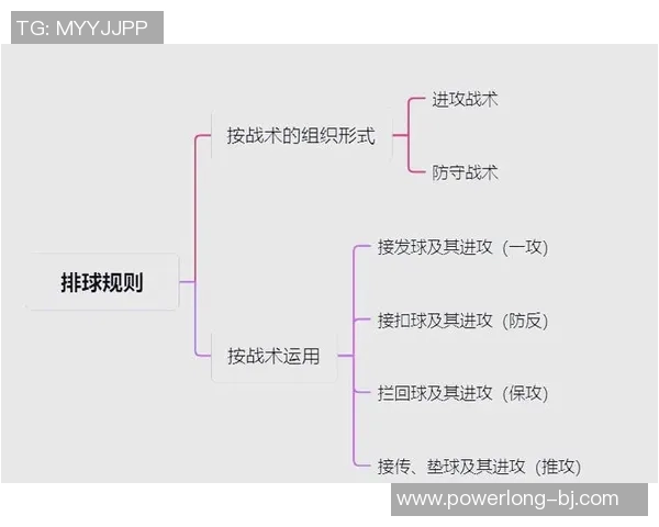 排球盛宴:深入解析杭州排球队的灵活战术与训练秘诀 排球盛宴:深入解析杭州排球队的灵活战术与训练秘诀