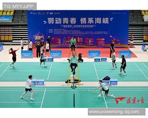 深入分析南京羽毛球队独特进攻战术与比赛策略的全景解读