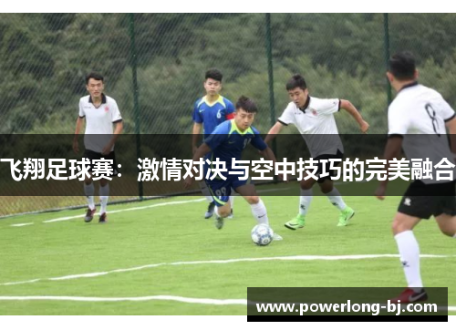 飞翔足球赛：激情对决与空中技巧的完美融合