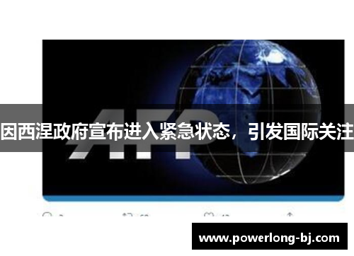 因西涅政府宣布进入紧急状态，引发国际关注